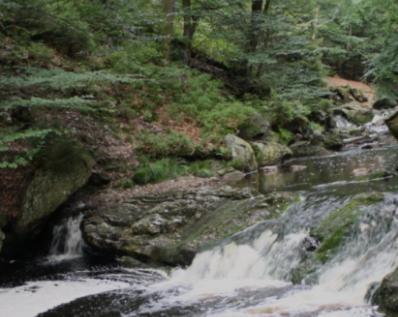Gite Ardennes Au Coin Du Feu Jacuzzi Sauna Et Nature Jalhay Exterior photo